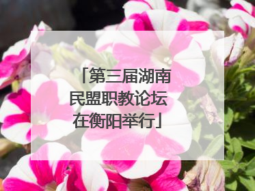 第三届湖南民盟职教论坛在衡阳举行