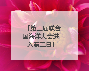 第三届联合国海洋大会进入第二日