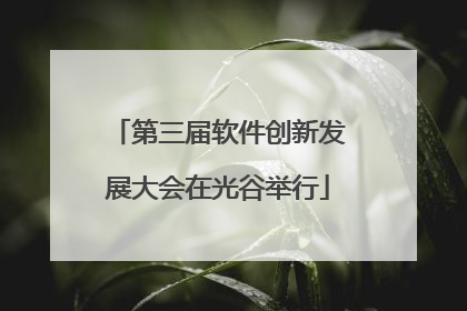 第三届软件创新发展大会在光谷举行