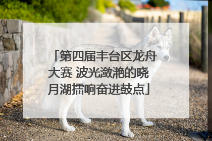 第四届丰台区龙舟大赛 波光潋滟的晓月湖擂响奋进鼓点