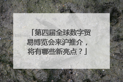 第四届全球数字贸易博览会来沪推介，将有哪些新亮点？