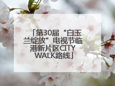 第30届“白玉兰绽放”电视节临港新片区CITY WALK路线