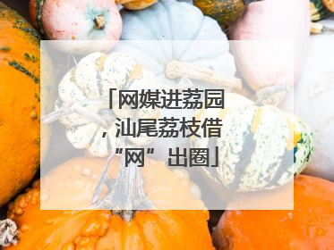 网媒进荔园，汕尾荔枝借“网”出圈