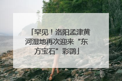 罕见！洛阳孟津黄河湿地再次迎来“东方宝石”彩鹮