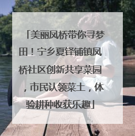 美丽凤桥带你寻梦田！宁乡夏铎铺镇凤桥社区创新共享菜园，市民认领菜土，体验耕种收获乐趣