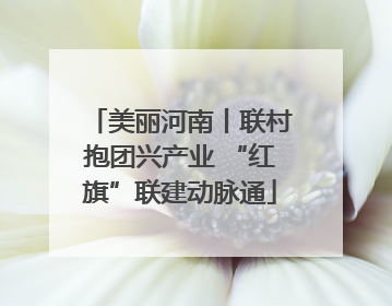 美丽河南丨联村抱团兴产业 “红旗”联建动脉通