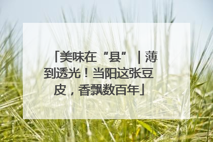 美味在“县”｜薄到透光！当阳这张豆皮，香飘数百年