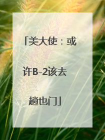 美大使：或许B-2该去趟也门