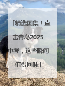 精选图集！直击青岛2025中考，这些瞬间值得回味