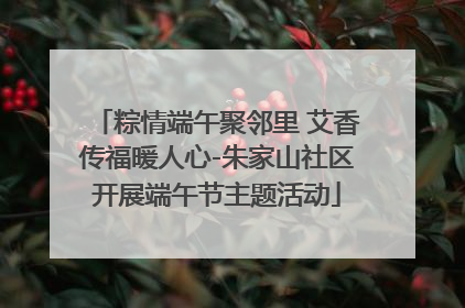 粽情端午聚邻里 艾香传福暖人心-朱家山社区开展端午节主题活动