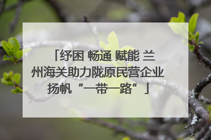纾困 畅通 赋能 兰州海关助力陇原民营企业扬帆“一带一路”