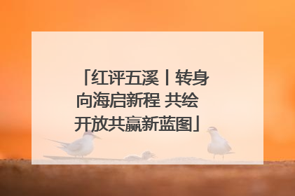 红评五溪丨转身向海启新程 共绘开放共赢新蓝图