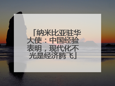 纳米比亚驻华大使：中国经验表明，现代化不光是经济腾飞