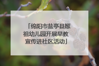 绵阳市盐亭县嫘祖幼儿园开展早教宣传进社区活动