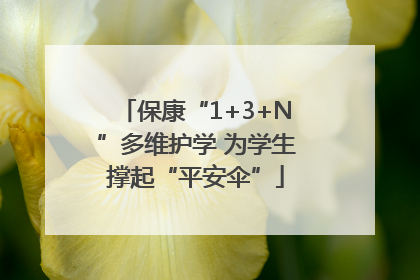 保康“1+3+N”多维护学 为学生撑起“平安伞”