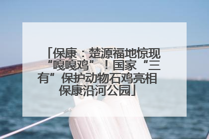 保康：楚源福地惊现“嘎嘎鸡”！国家“三有”保护动物石鸡亮相保康沿河公园