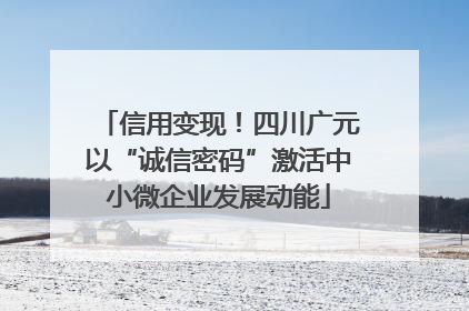 信用变现！四川广元以“诚信密码”激活中小微企业发展动能