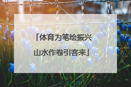 体育为笔绘振兴 山水作卷引客来