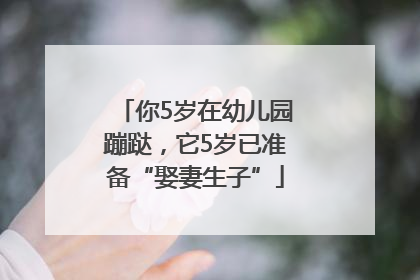 你5岁在幼儿园蹦跶，它5岁已准备“娶妻生子”