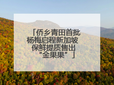 侨乡青田首批杨梅启程新加坡 保鲜提质售出“金果果”