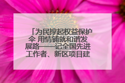 为民撑起权益保护伞 用情铺就和谐发展路——记全国先进工作者、新区项目建设中心干部卢小勇