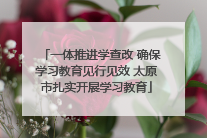 一体推进学查改 确保学习教育见行见效 太原市扎实开展学习教育