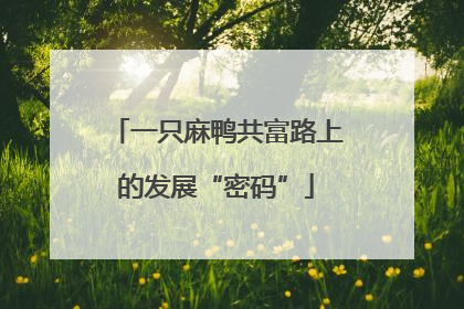 一只麻鸭共富路上的发展“密码”