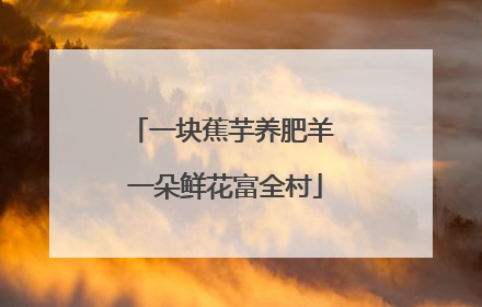 一块蕉芋养肥羊 一朵鲜花富全村