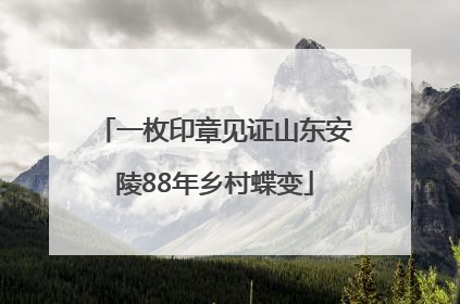 一枚印章见证山东安陵88年乡村蝶变