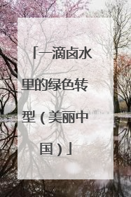 一滴卤水里的绿色转型（美丽中国）