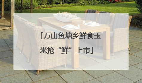 万山鱼塘乡鲜食玉米抢“鲜”上市