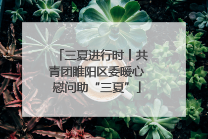 三夏进行时丨共青团睢阳区委暖心慰问助“三夏”