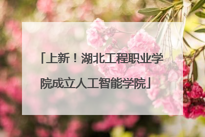 上新！湖北工程职业学院成立人工智能学院