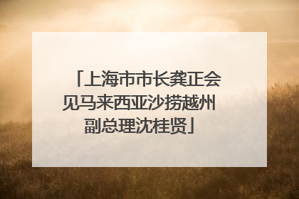 上海市市长龚正会见马来西亚沙捞越州副总理沈桂贤