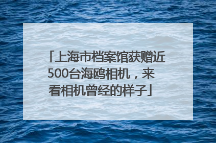上海市档案馆获赠近500台海鸥相机，来看相机曾经的样子