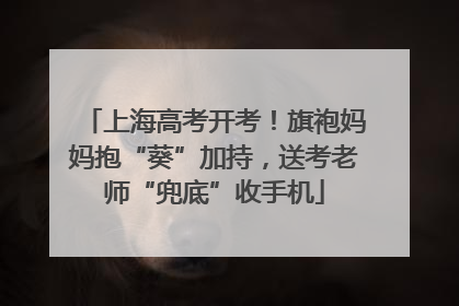 上海高考开考！旗袍妈妈抱“葵”加持，送考老师“兜底”收手机