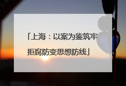 上海：以案为鉴筑牢拒腐防变思想防线