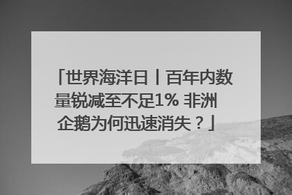 世界海洋日丨百年内数量锐减至不足1% 非洲企鹅为何迅速消失？