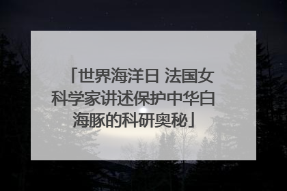 世界海洋日 法国女科学家讲述保护中华白海豚的科研奥秘