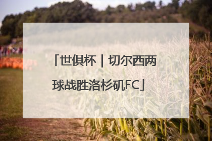 世俱杯｜切尔西两球战胜洛杉矶FC