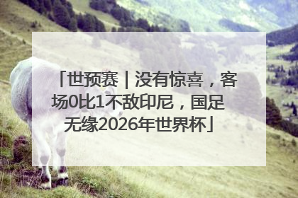 世预赛｜没有惊喜，客场0比1不敌印尼，国足无缘2026年世界杯