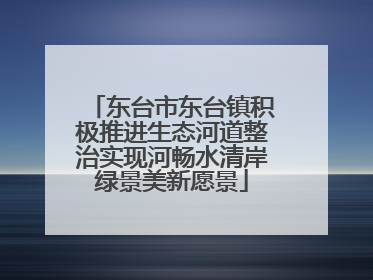 东台市东台镇积极推进生态河道整治实现河畅水清岸绿景美新愿景