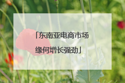 东南亚电商市场缘何增长强劲