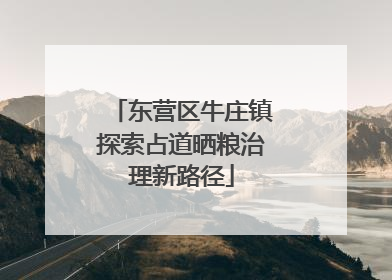 东营区牛庄镇探索占道晒粮治理新路径