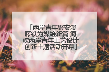 两岸青年聚安溪 藤铁为媒绘新篇 海峡两岸青年工艺设计创新主题活动开幕