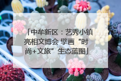 中牟新区：艺秀小镇亮相文博会 擘画“时尚+文旅”生态蓝图