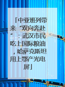 中亚班列带来“双向奔赴”：武汉市民吃上国际粮油，哈萨克斯坦用上鄂产光电屏