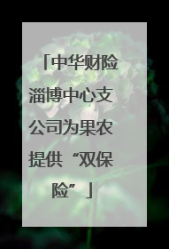 中华财险淄博中心支公司为果农提供“双保险”