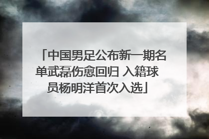 中国男足公布新一期名单武磊伤愈回归 入籍球员杨明洋首次入选