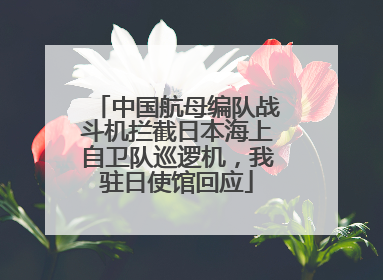 中国航母编队战斗机拦截日本海上自卫队巡逻机，我驻日使馆回应